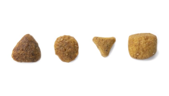image of different kibble shapes
