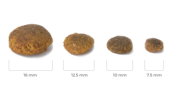 image of different kibble sizes