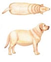 Weight 3