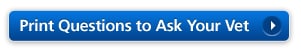 Print Questions to Ask Your Vet