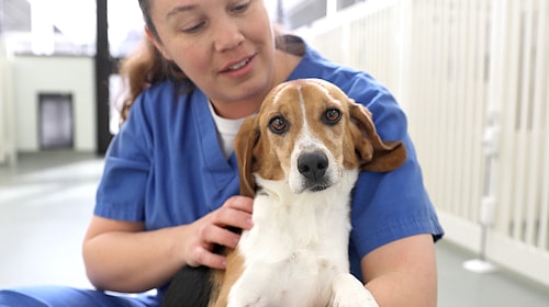 pet nutrition center (PNC)