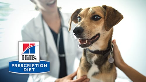 Pet Nutrition Center (PNC), Dog & Vet