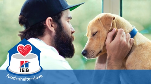 Hill’s Food Shelter & Love