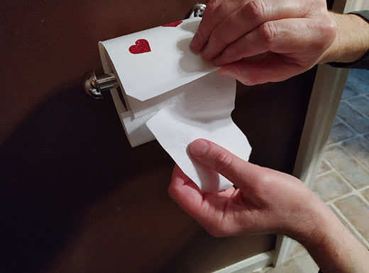 cat proof toilet paper holder cover