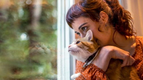 image of girl and cat looking throught a window