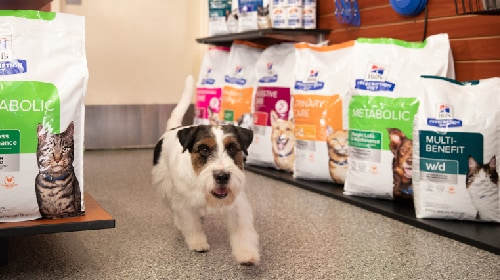Image of dog running and Hill's products in the background