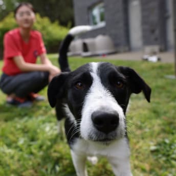 Dog outside next to parent