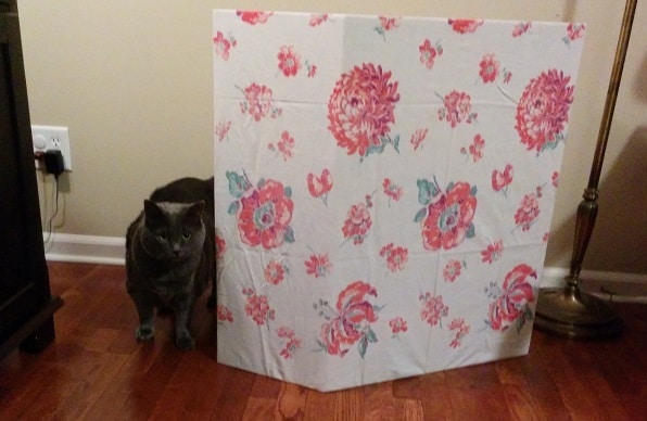 Gray cat walking out from behind a cat litter box privacy screen covered in floral print.
