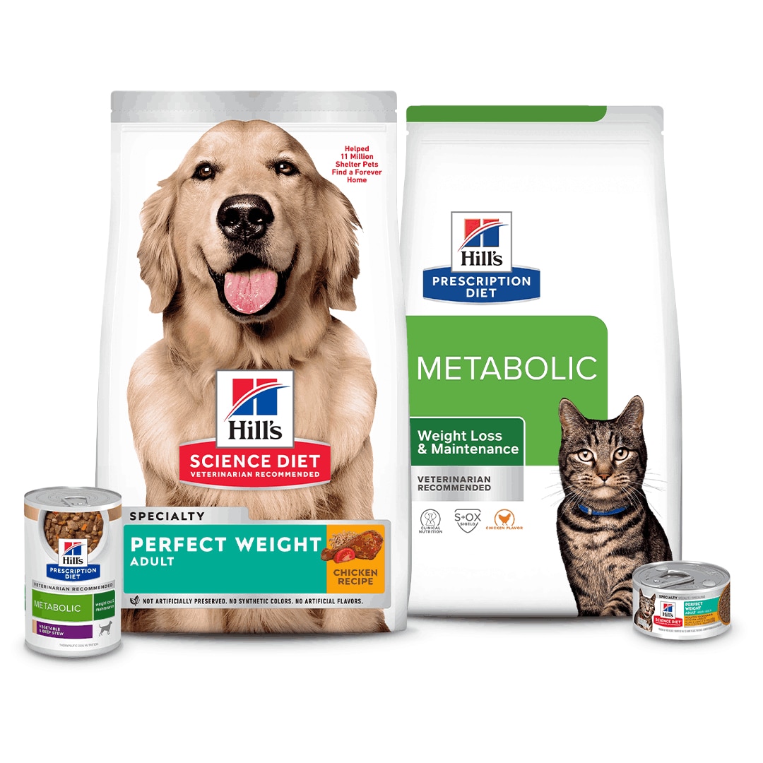 Hillspet Nutrtion products for pets obesity