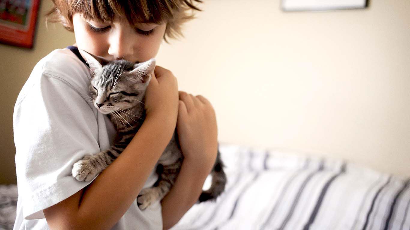 New Pet Parent