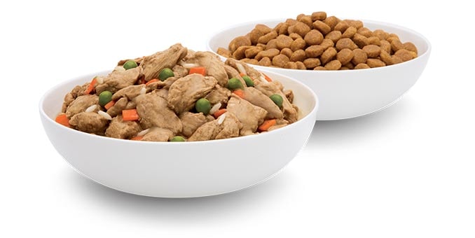 Bowls of Hill's Pet dog and cat food