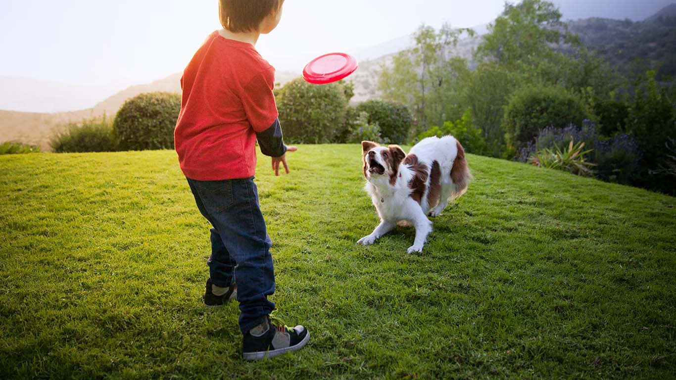 Play & Exercise