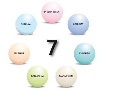 Molecule Protein