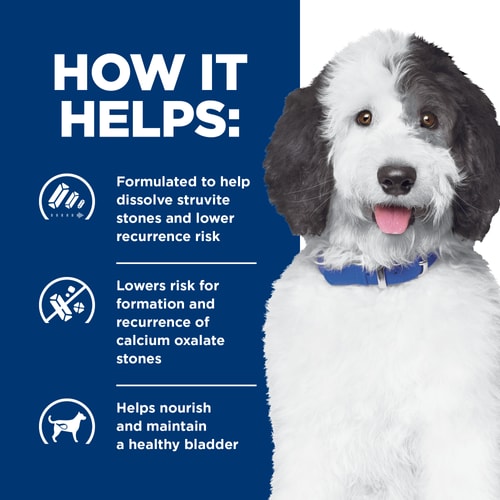 c/d Multicare Chicken, Vegetables & Rice Stew Dog Food How It Helps
