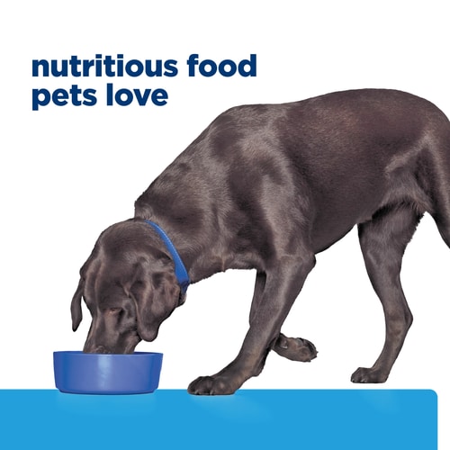 d/d Potato & Venison Recipe Wet Dog Food Food Shot