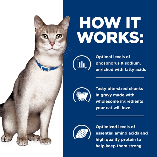How It Works