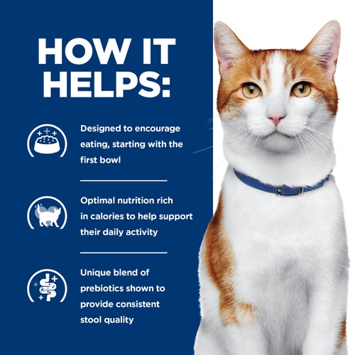 ONC Care Chicken & Vegetable Stew Cat Food How It Helps