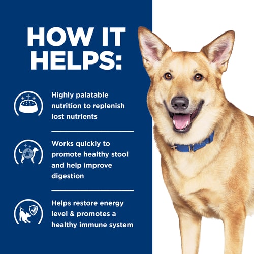 i/d with Turkey Wet Dog Food How It Helps