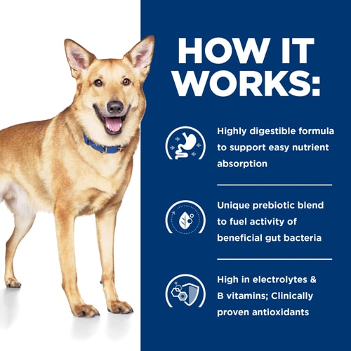 i/d with Turkey Wet Dog Food How It Works