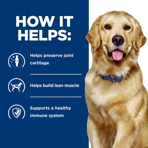 j/d Wet Dog Food How It Helps
