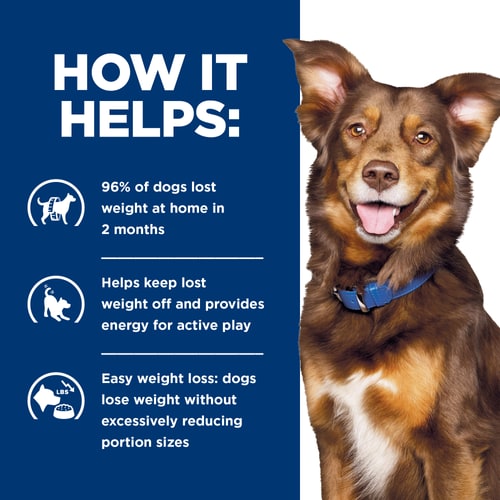 Metabolic Vegetables, Beef & Rice Stew Dog Food How It Helps