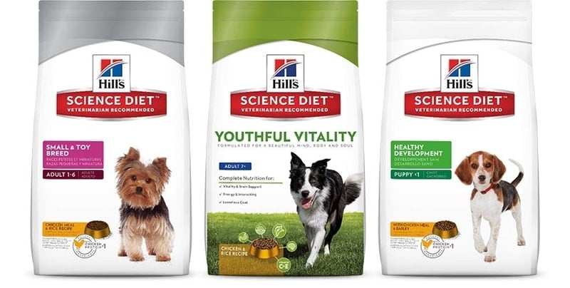 Nutrition Every Dog Needs