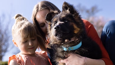 A puppy with tagged collar with his family