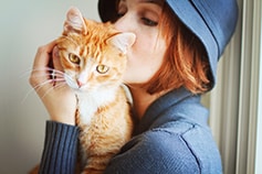 Healthy Adult Cat