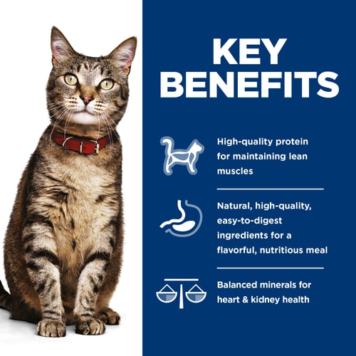Key Benefits