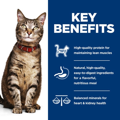 Key Benefits