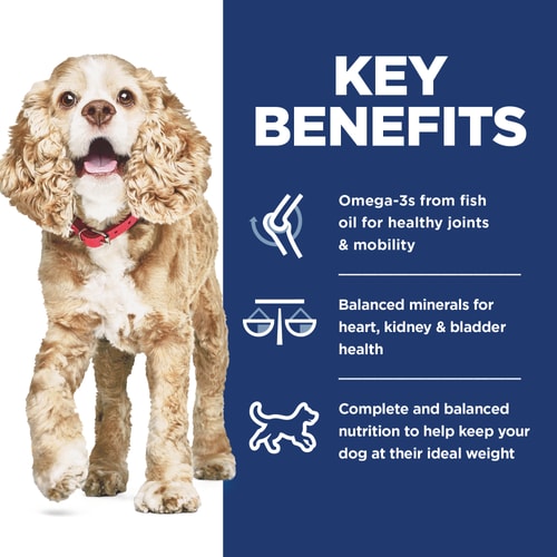 Adult 11+ Small & Mini Chicken, Brown Rice & Barley Recipe Dog Food Key Benefits