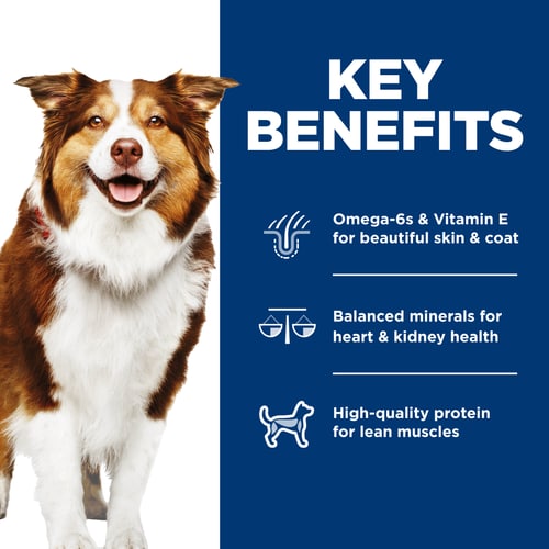Key Benefits