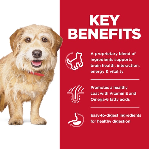 Adult 7+ Senior Vitality Small & Mini Chicken Meal & Rice Recipe Dog Food Key Benefits