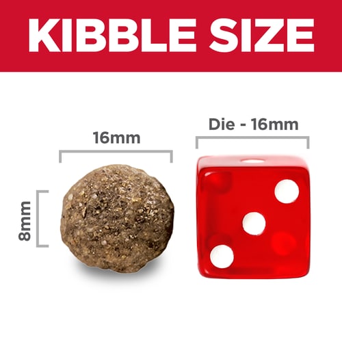 Adult Large Breed Lamb Meal & Brown Rice Recipe Dog Food Food Shot Scale