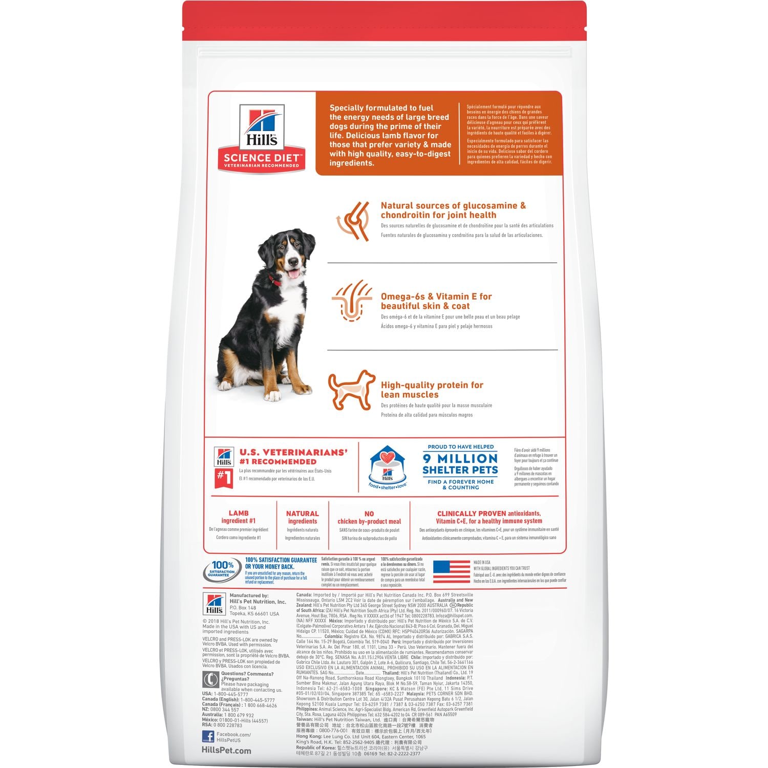 Adult Large Breed Lamb Meal & Brown Rice Recipe Dog Food Packshot