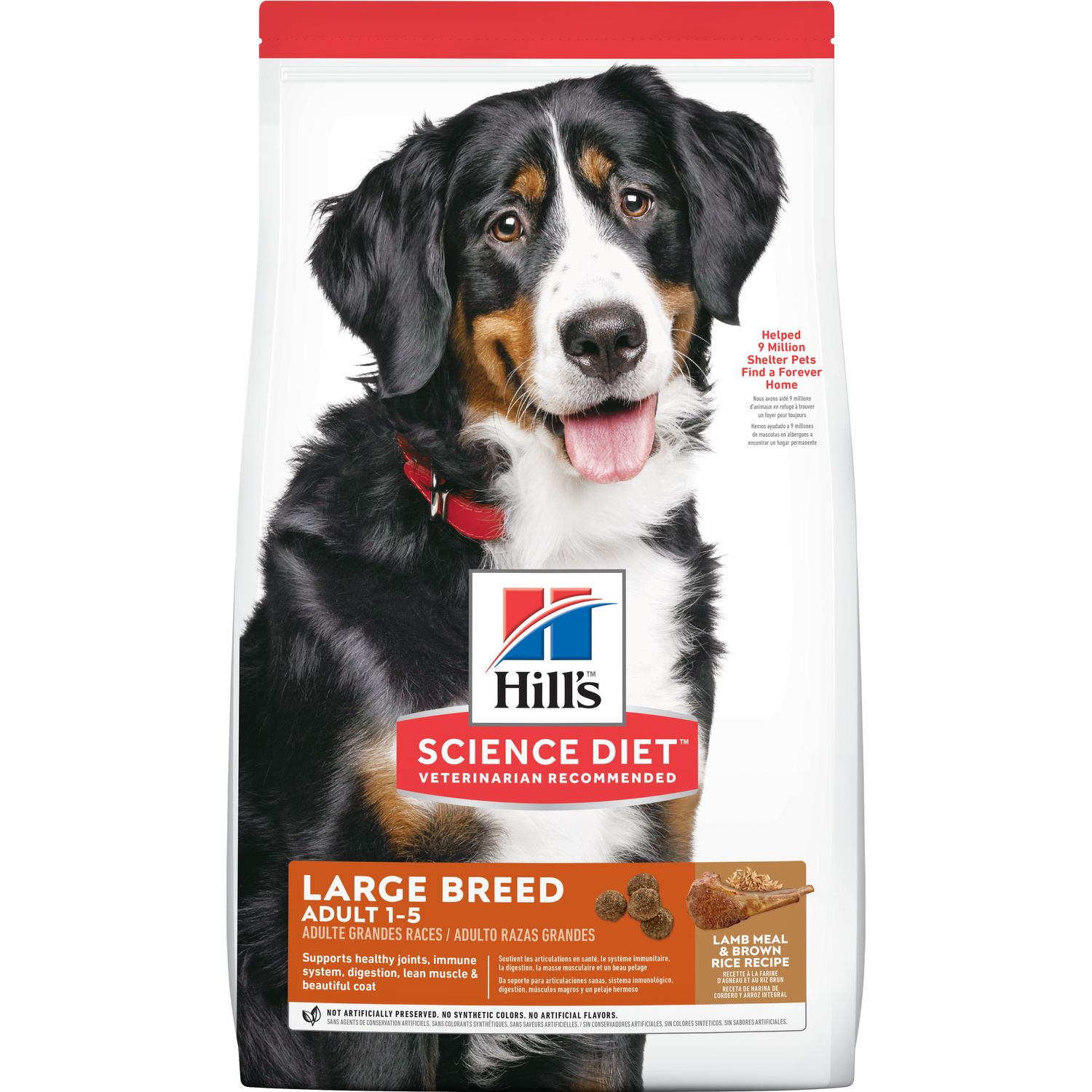 Adult Large Breed Lamb Meal & Brown Rice Recipe Dog Food Packshot