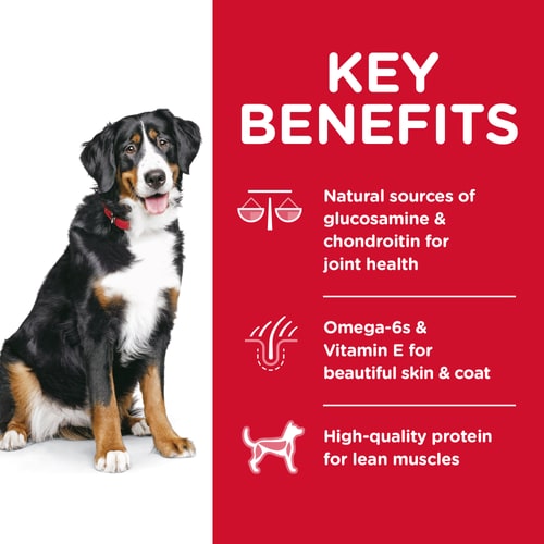 Adult Large Breed Lamb Meal & Brown Rice Recipe Dog Food Key Benefits