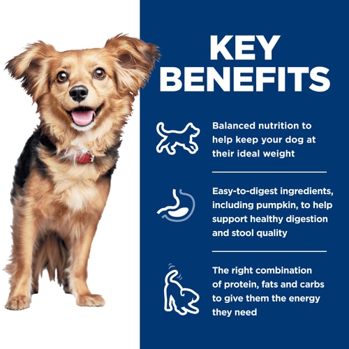 Key Benefits