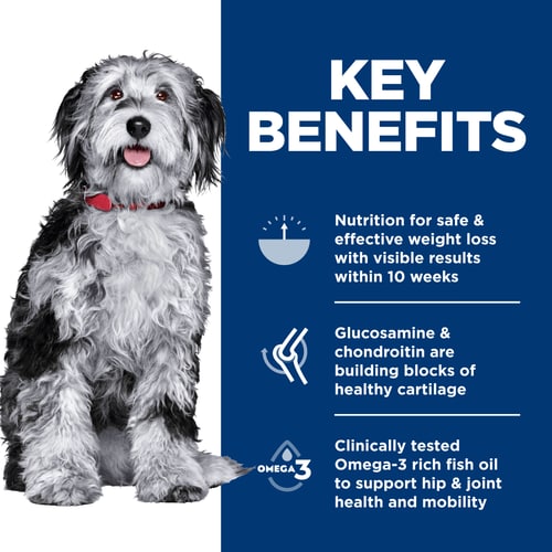 Key Benefits