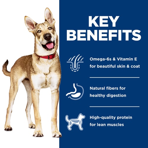 Key Benefits