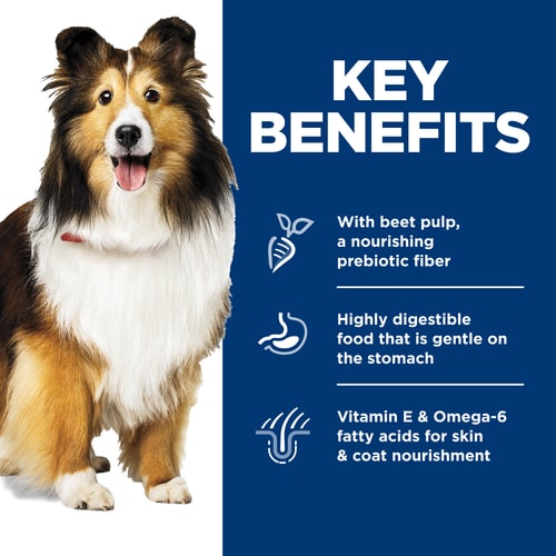 Key Benefits