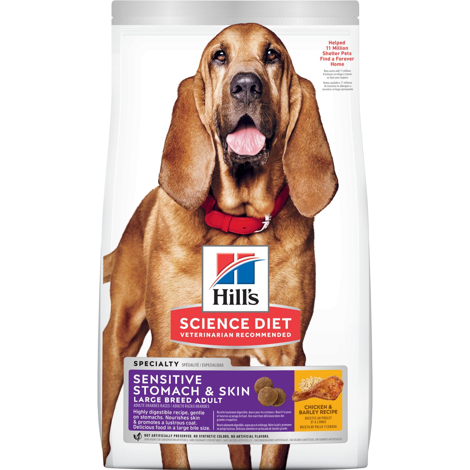 Adult Sensitive Stomach & Skin Large Breed Packshot