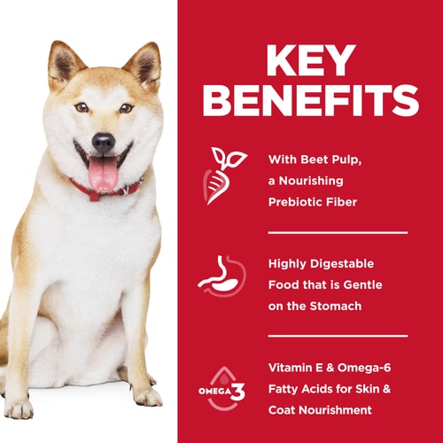 Adult Sensitive Stomach & Skin Pollock Meal & Insect Recipe Dog Food Key Benefits
