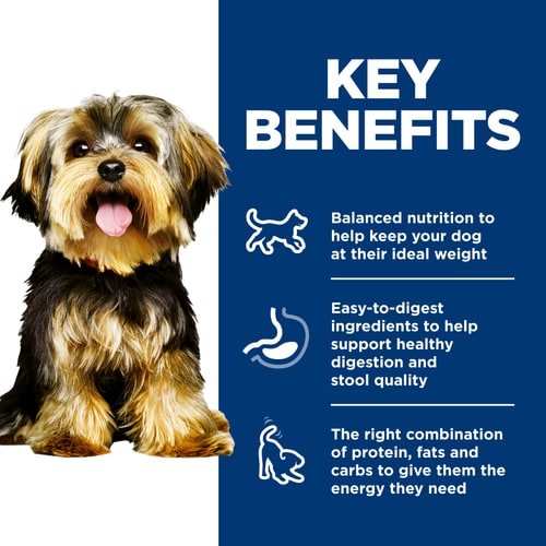 Key Benefits