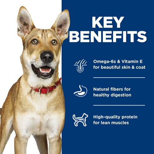 Key Benefits