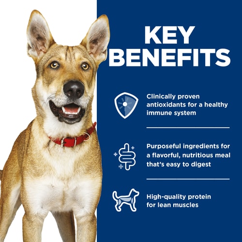 Key Benefits