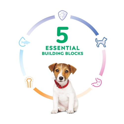 Puppy Small Bites Chicken & Brown Rice Recipe Power Claim