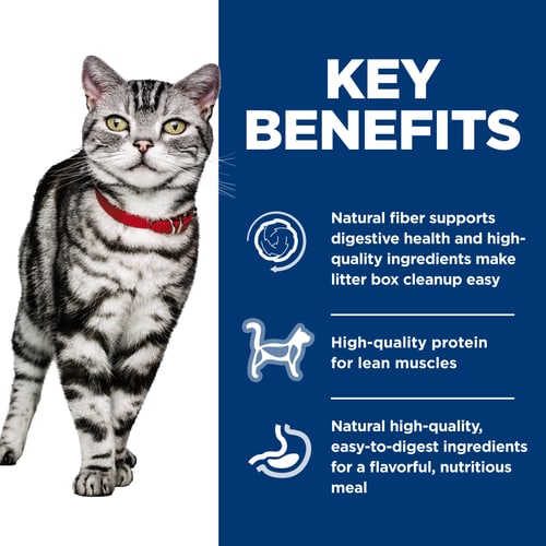 Key Benefits