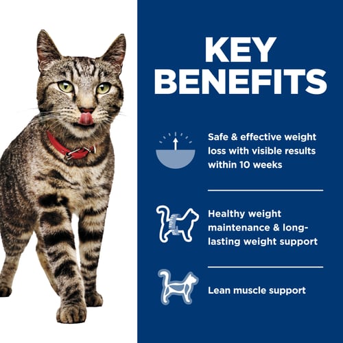 Key Benefits