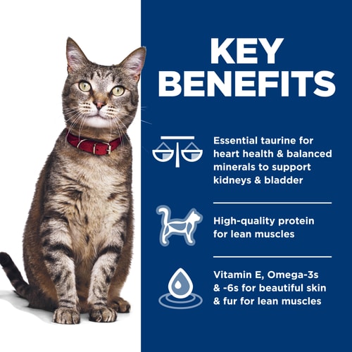 Key Benefits
